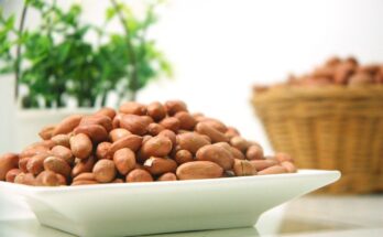 The Key Components of a Balanced Diet